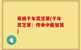 采摘千年灵芝草(千年灵芝草：传承中医智慧)