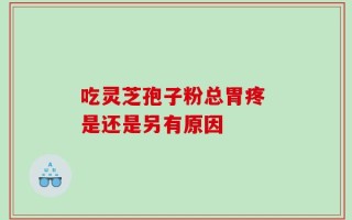 吃灵芝孢子粉总胃疼 是还是另有原因
