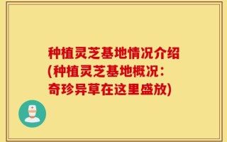 种植灵芝基地情况介绍(种植灵芝基地概况：奇珍异草在这里盛放)