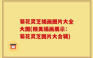菊花灵芝插画图片大全大图(精美插画展示：菊花灵芝图片大合辑)