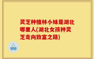 灵芝种植林小妹是湖北哪里人(湖北女孩种灵芝走向致富之路)