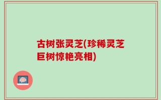古树张灵芝(珍稀灵芝巨树惊艳亮相)
