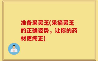 准备采灵芝(采摘灵芝的正确姿势，让你的药材更纯正)