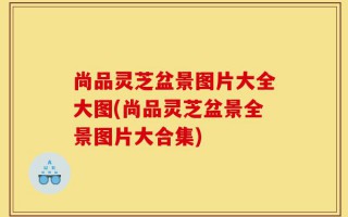 尚品灵芝盆景图片大全大图(尚品灵芝盆景全景图片大合集)