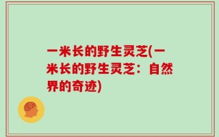 一米长的野生灵芝(一米长的野生灵芝：自然界的奇迹)