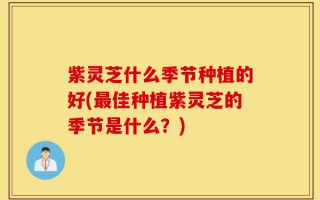 紫灵芝什么季节种植的好(最佳种植紫灵芝的季节是什么？)
