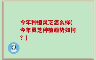 今年种植灵芝怎么样(今年灵芝种植趋势如何？)