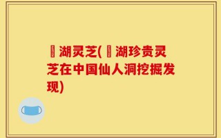 滆湖灵芝(滆湖珍贵灵芝在中国仙人洞挖掘发现)
