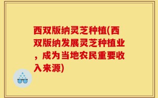 西双版纳灵芝种植(西双版纳发展灵芝种植业，成为当地农民重要收入来源)