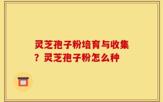 灵芝孢子粉培育与收集？灵芝孢子粉怎么种