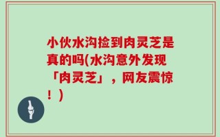 小伙水沟捡到肉灵芝是真的吗(水沟意外发现「肉灵芝」，网友震惊！)