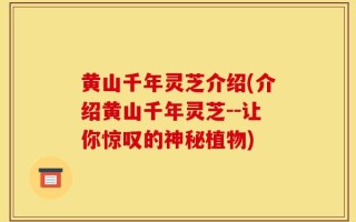 黄山千年灵芝介绍(介绍黄山千年灵芝--让你惊叹的神秘植物)