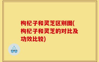 枸杞子和灵芝区别图(枸杞子和灵芝的对比及功效比较)