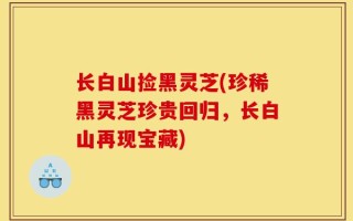 长白山捡黑灵芝(珍稀黑灵芝珍贵回归，长白山再现宝藏)
