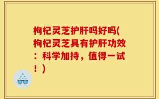 枸杞灵芝护肝吗好吗(枸杞灵芝具有护肝功效：科学加持，值得一试！)