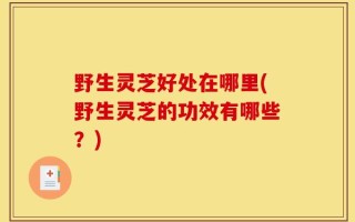 野生灵芝好处在哪里(野生灵芝的功效有哪些？)