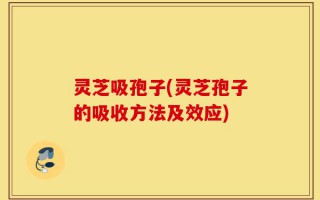 灵芝吸孢子(灵芝孢子的吸收方法及效应)