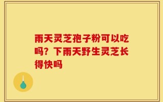 雨天灵芝孢子粉可以吃吗？下雨天野生灵芝长得快吗