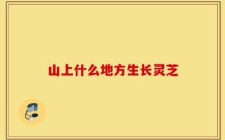 山上什么地方生长灵芝