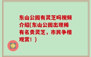 东山公园有灵芝吗视频介绍(东山公园出现稀有名贵灵芝，市民争相观赏！)