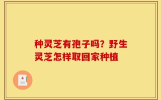 种灵芝有孢子吗？野生灵芝怎样取回家种植