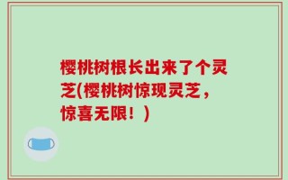 樱桃树根长出来了个灵芝(樱桃树惊现灵芝，惊喜无限！)