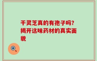 干灵芝真的有孢子吗？揭开这味药材的真实面貌