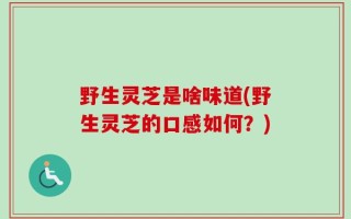 野生灵芝是啥味道(野生灵芝的口感如何？)