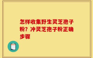 怎样收集野生灵芝孢子粉？冲灵芝孢子粉正确步骤