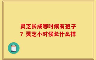 灵芝长成哪时候有孢子？灵芝小时候长什么样
