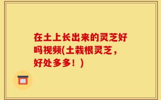 在土上长出来的灵芝好吗视频(土栽根灵芝，好处多多！)