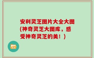 安利灵芝图片大全大图(神奇灵芝大图库，感受神奇灵芝的美！)