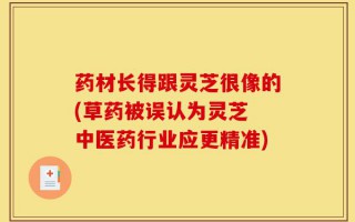 药材长得跟灵芝很像的(草药被误认为灵芝 中医药行业应更精准)