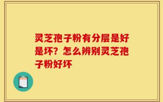 灵芝孢子粉有分层是好是坏？怎么辨别灵芝孢子粉好坏
