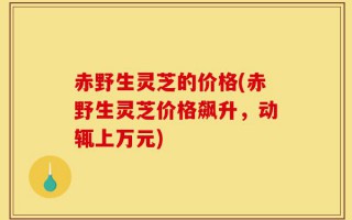 赤野生灵芝的价格(赤野生灵芝价格飙升，动辄上万元)