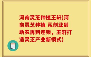河南灵芝种植王轩(河南灵芝种植 从创业到助农再到连锁，王轩打造灵芝产业新模式)
