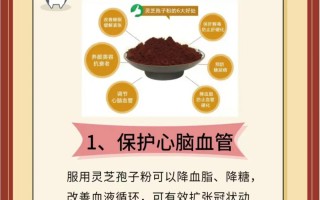 灵芝孢子粉的功效介绍