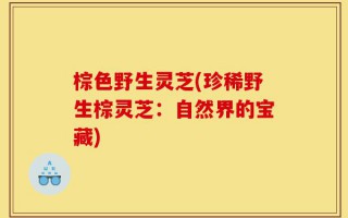 棕色野生灵芝(珍稀野生棕灵芝：自然界的宝藏)