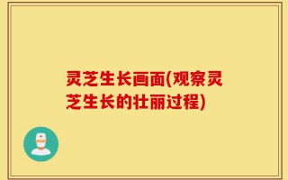 灵芝生长画面(观察灵芝生长的壮丽过程)