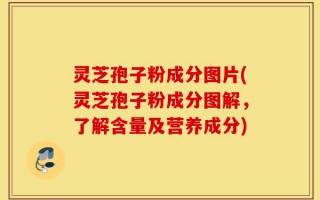 灵芝孢子粉成分图片(灵芝孢子粉成分图解，了解含量及营养成分)