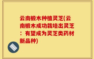 云南椴木种植灵芝(云南椴木成功栽培出灵芝：有望成为灵芝类药材新品种)