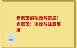 赤灵芝的功效与禁忌(赤灵芝：功效与注意事项