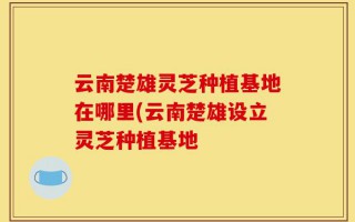 云南楚雄灵芝种植基地在哪里(云南楚雄设立灵芝种植基地