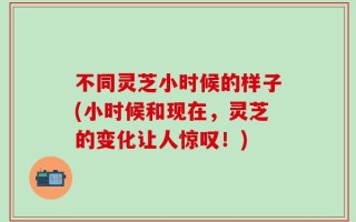 不同灵芝小时候的样子(小时候和现在，灵芝的变化让人惊叹！)