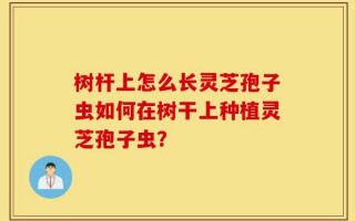树杆上怎么长灵芝孢子虫如何在树干上种植灵芝孢子虫？