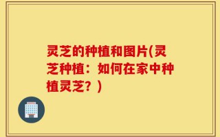 灵芝的种植和图片(灵芝种植：如何在家中种植灵芝？)