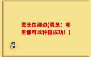灵芝在那边(灵芝：哪里都可以种植成功！)