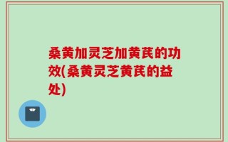 桑黄加灵芝加黄芪的功效(桑黄灵芝黄芪的益处)