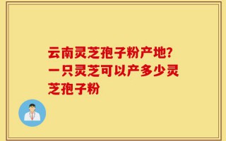 云南灵芝孢子粉产地？一只灵芝可以产多少灵芝孢子粉