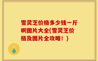 雪灵芝价格多少钱一斤啊图片大全(雪灵芝价格及图片全攻略！)